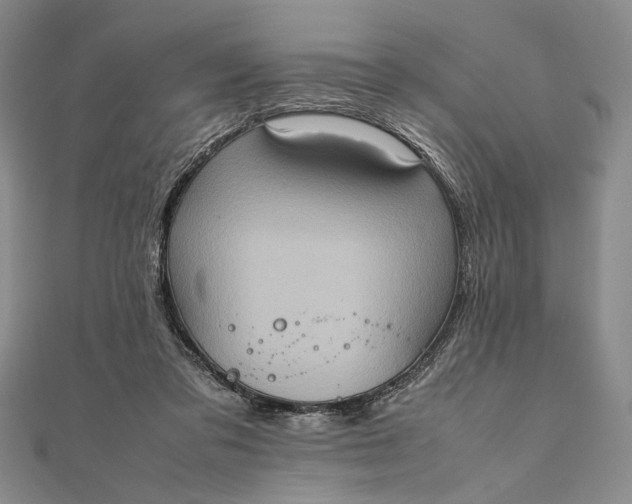 X0000111780309200908061120