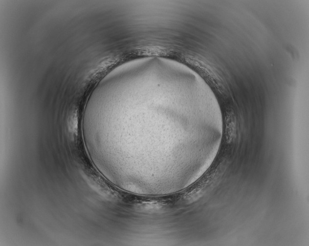 X0000111780310200908061120