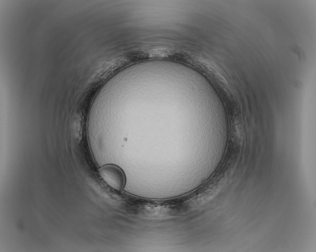 X0000111780311200908061120