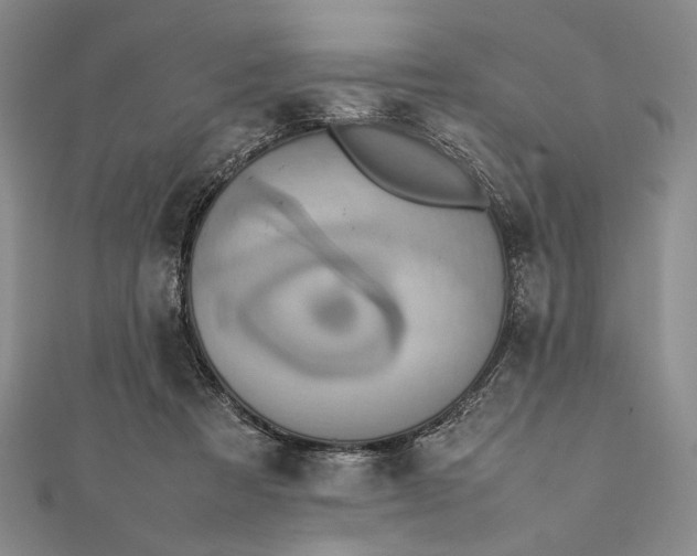 X0000111780313200908061120