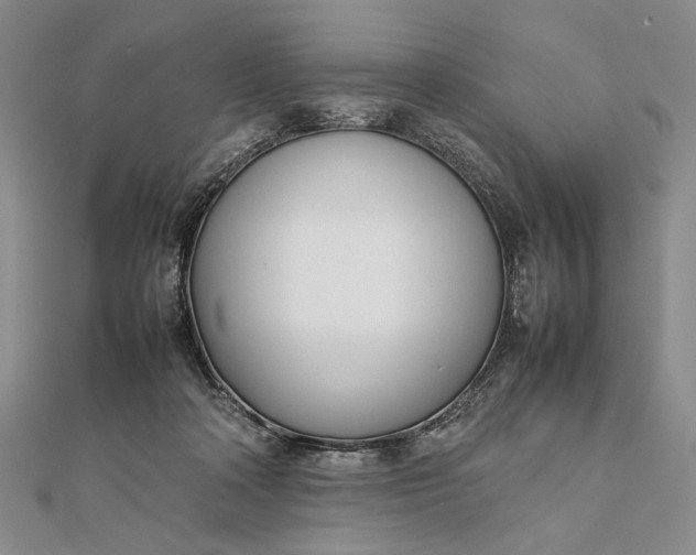 X0000111780314200908061120