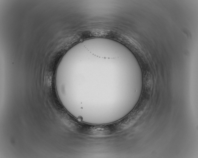X0000111780315200908061120
