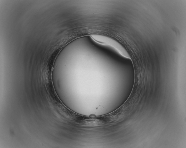 X0000111780316200908061120