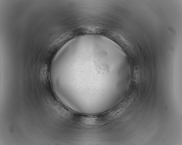 X0000111780318200908061120