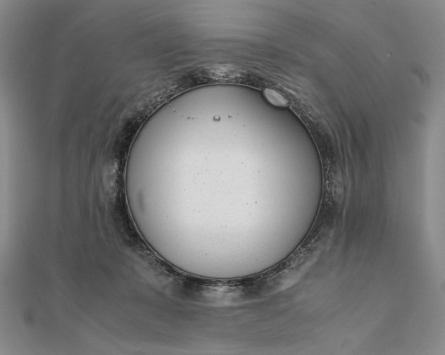 X0000111780319200908061120