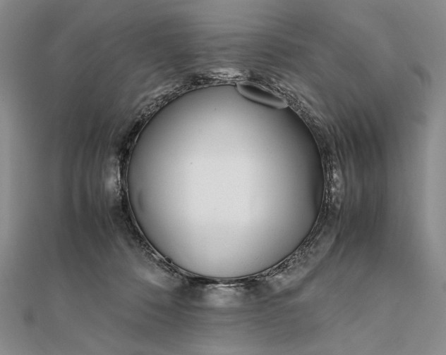 X0000111780320200908061120
