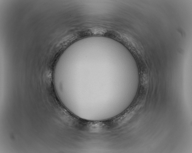 X0000111780321200908061120