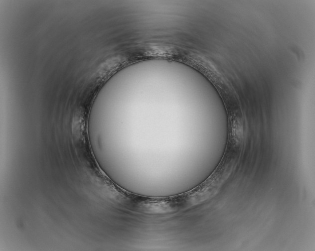 X0000111780322200908061120