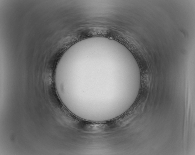 X0000111780323200908061120