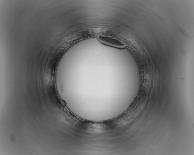 X0000111780324200908061120