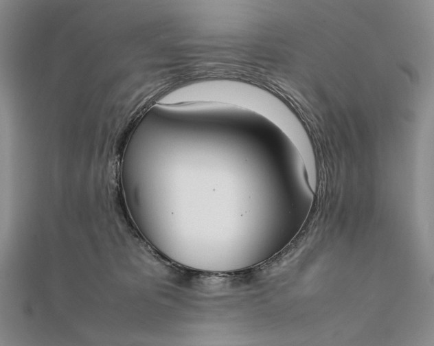 X0000111780325200908061120