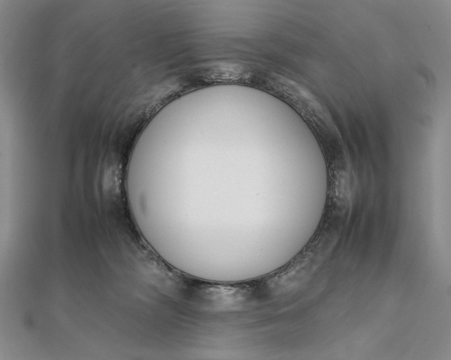 X0000111780326200908061120