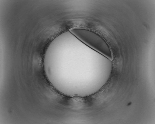 X0000111780327200908061120