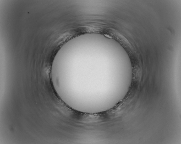 X0000111780329200908061120