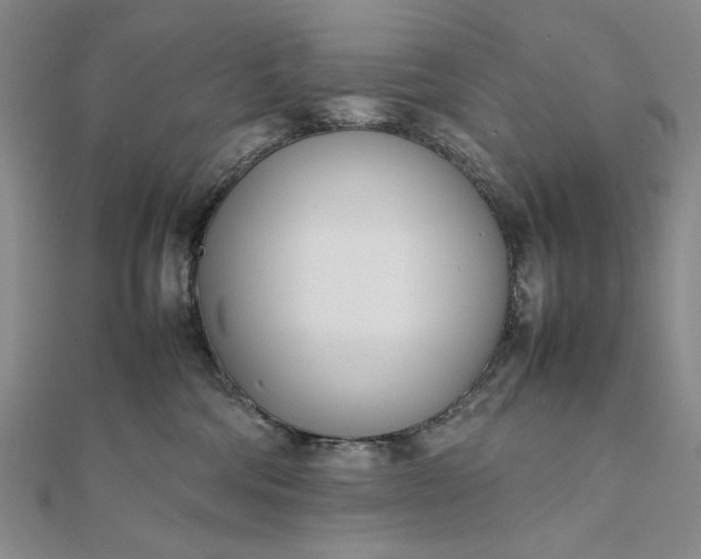 X0000111780330200908061120