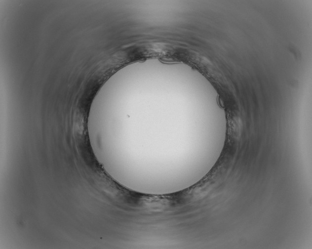 X0000111780331200908061120