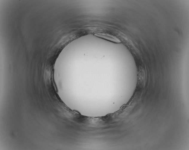X0000111780333200908061120