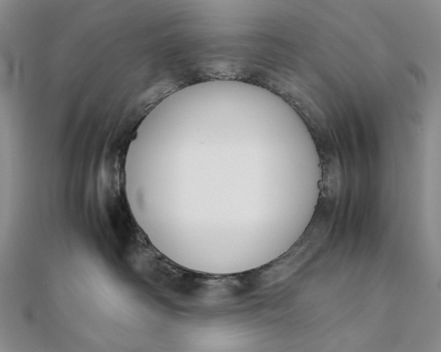 X0000111780334200908061120