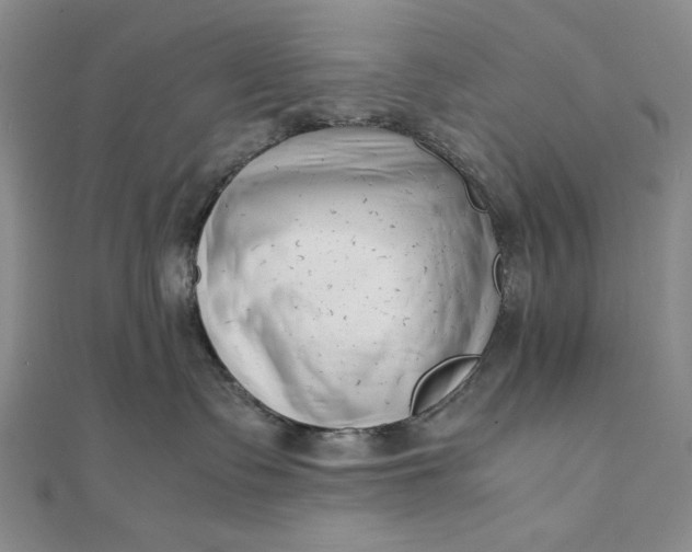 X0000111780335200908061120