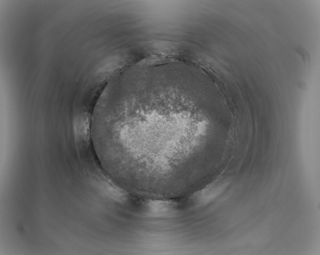 X0000111780336200908061120