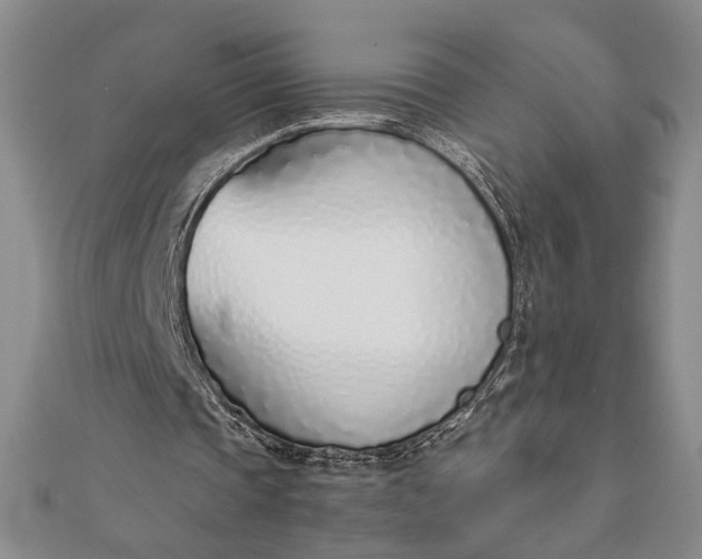 X0000111780337200908061119