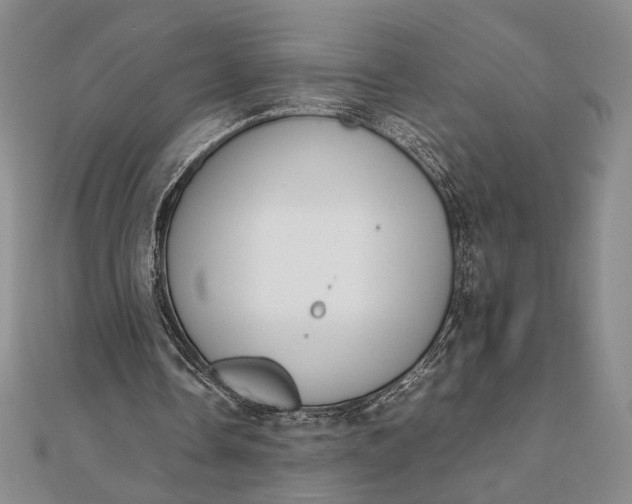 X0000111780338200908061120