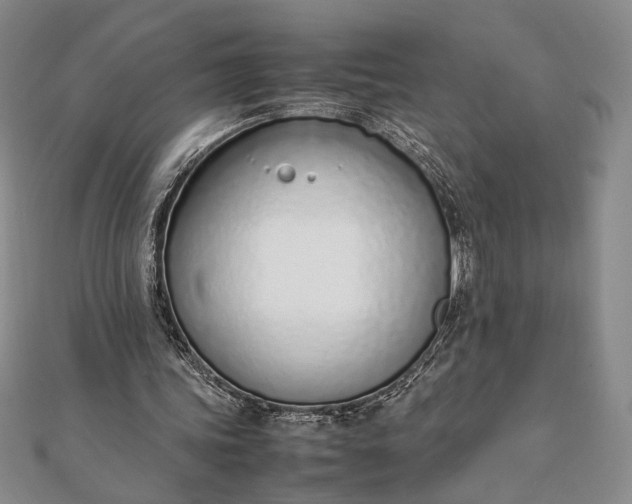 X0000111780339200908061120
