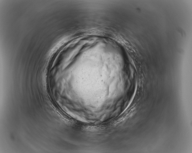 X0000111780341200908061120