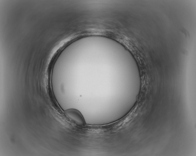 X0000111780342200908061120