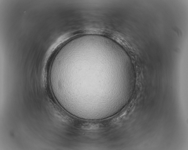 X0000111780343200908061120