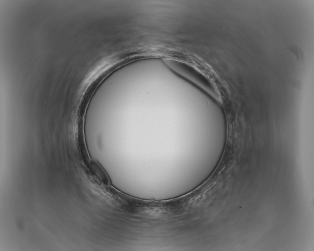 X0000111780344200908061120