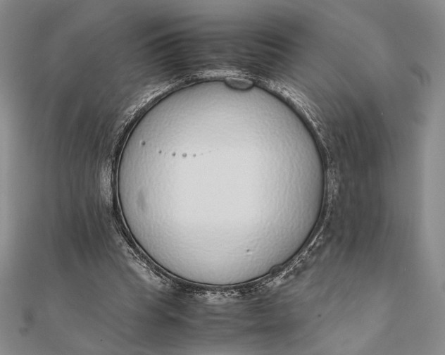 X0000111780345200908061120