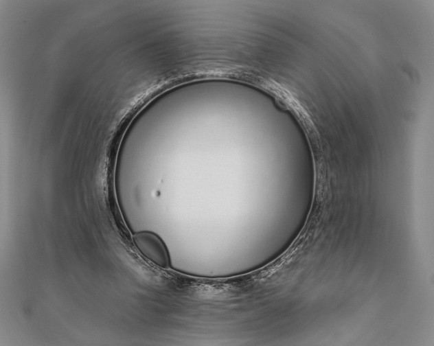 X0000111780346200908061120