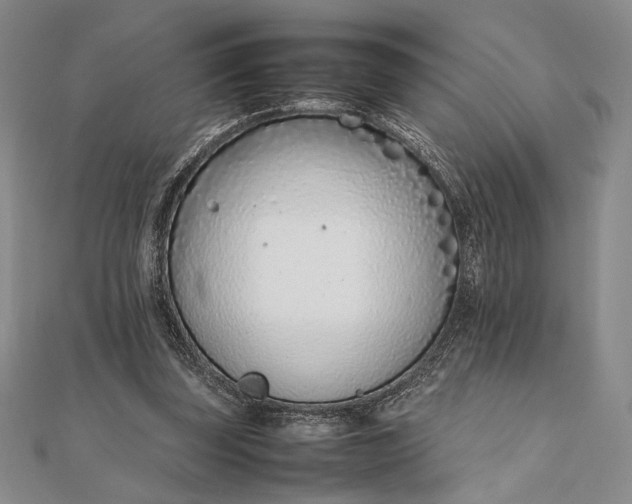 X0000111780347200908061120