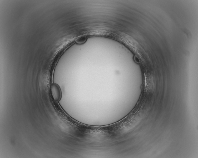 X0000111780348200908061120