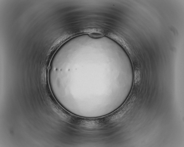 X0000111780349200908061120