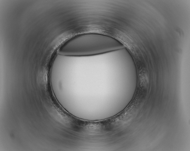 X0000111780350200908061120
