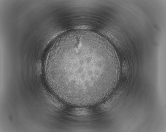 X0000111780351200908061120
