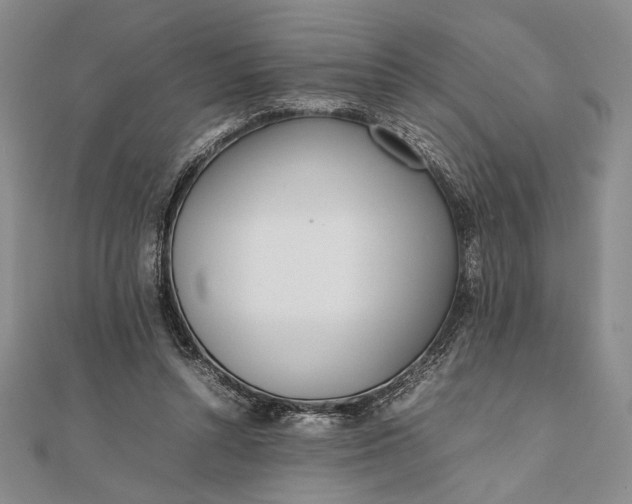 X0000111780352200908061120