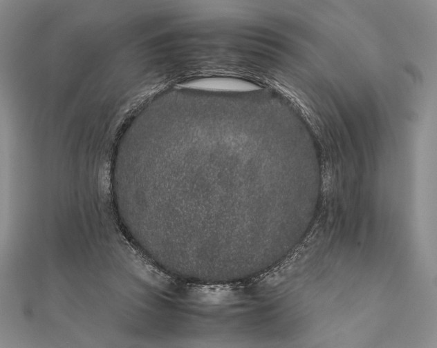 X0000111780353200908061120