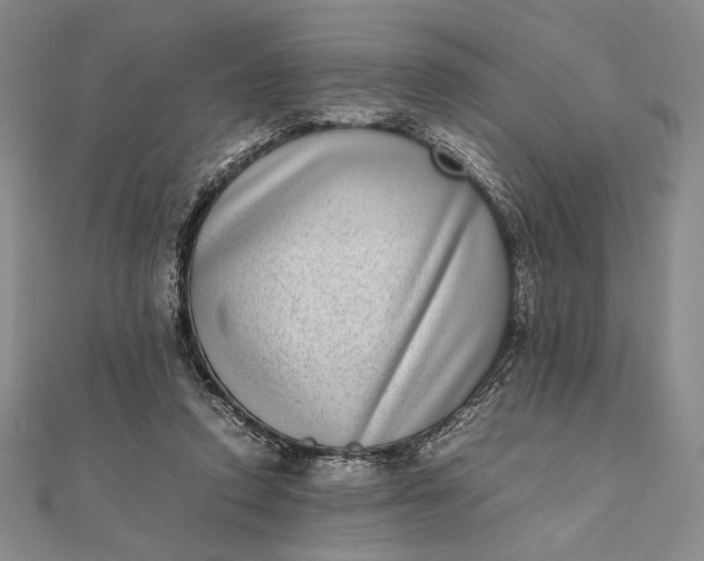 X0000111780354200908061120
