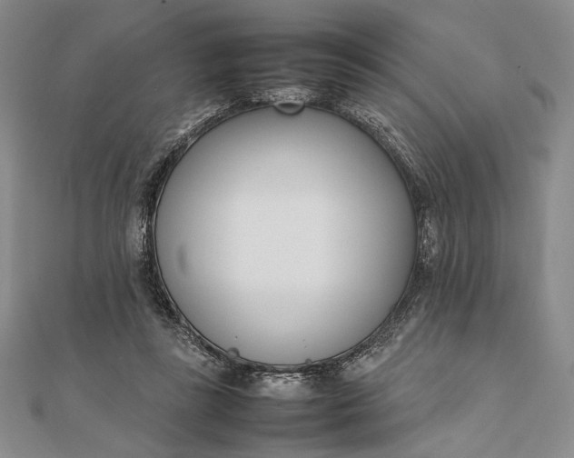 X0000111780355200908061120