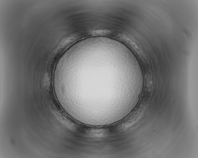 X0000111780357200908061120