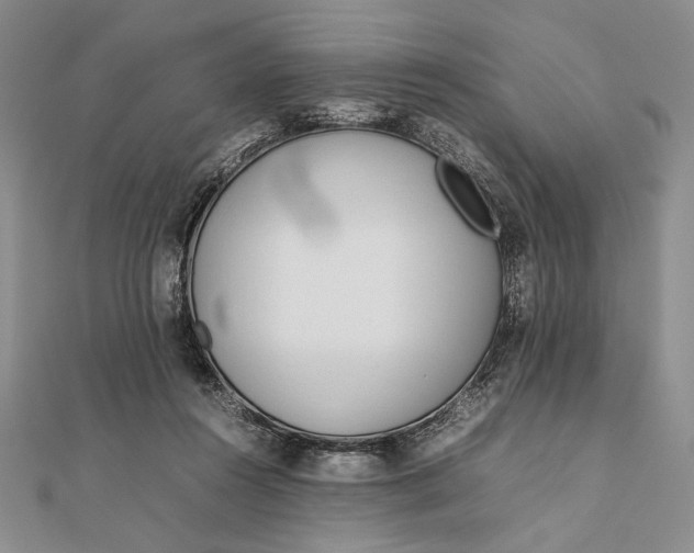 X0000111780360200908061120