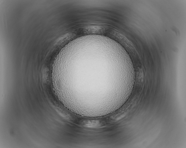 X0000111780361200908061120