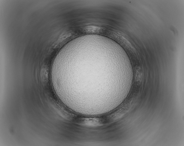 X0000111780363200908061120