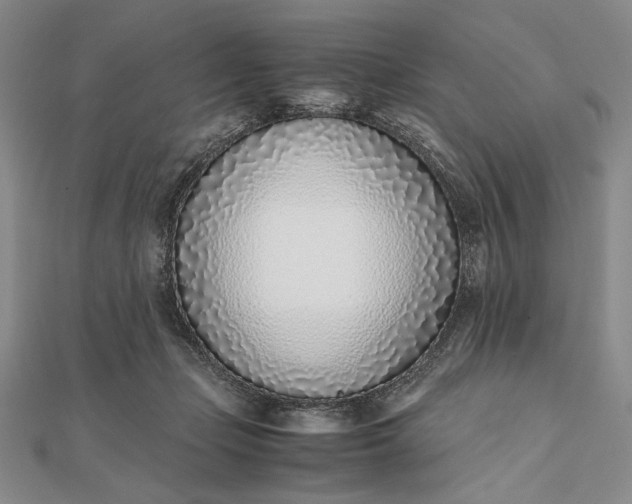 X0000111780365200908061120