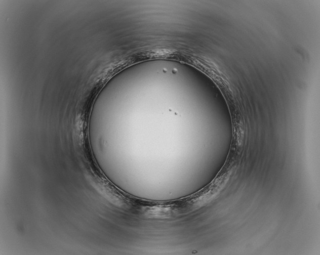 X0000111780366200908061120