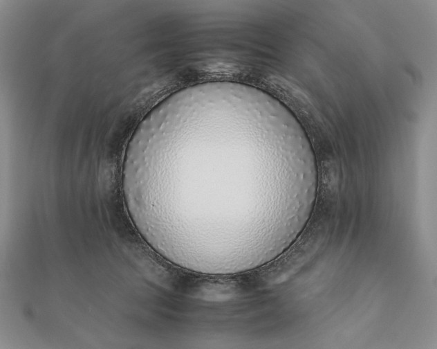 X0000111780369200908061120