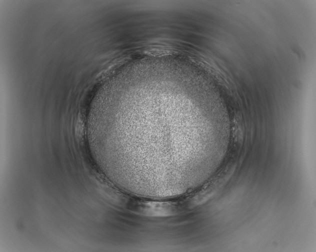 X0000111780371200908061120